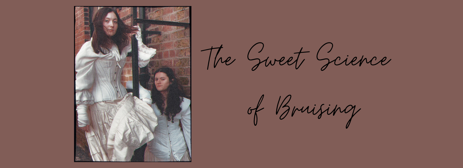 The Sweet Science Of Bruising